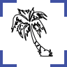 Palm Tree